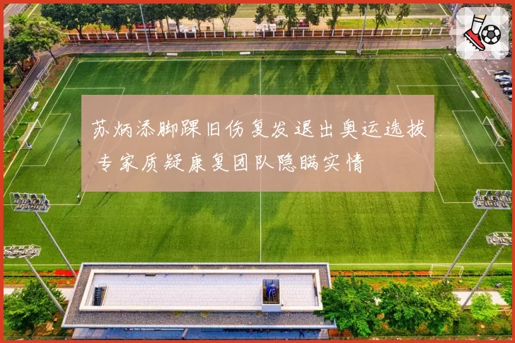 苏炳添脚踝旧伤复发退出奥运选拔 专家质疑康复团队隐瞒实情