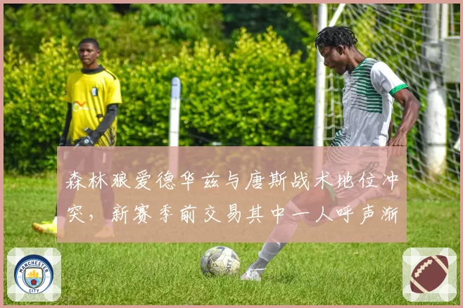 森林狼爱德华兹与唐斯战术地位冲突，新赛季前交易其中一人呼声渐起
